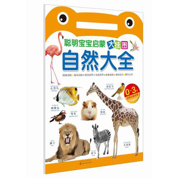 自然大全（0-3岁聪明宝宝启蒙大挂图）