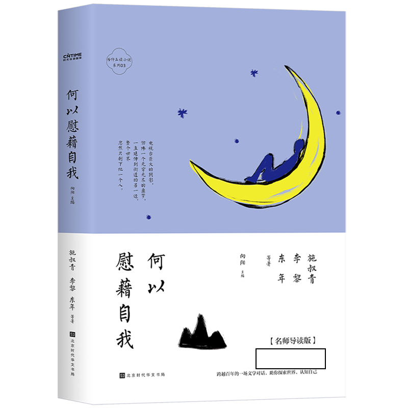 何以慰藉自我（名师导读版）/为什么读小说系列