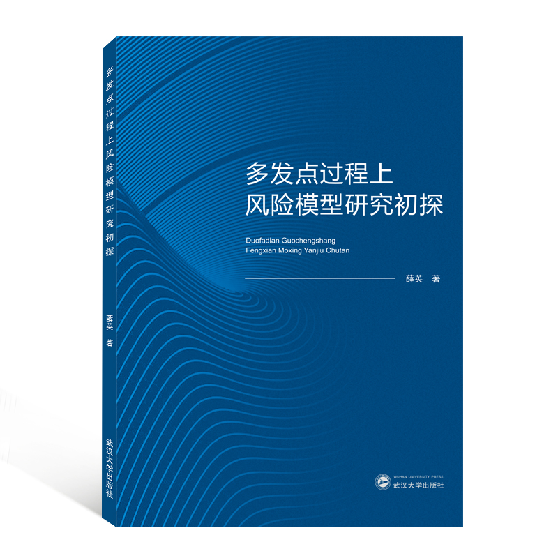 多发点过程上风险模型研究初探