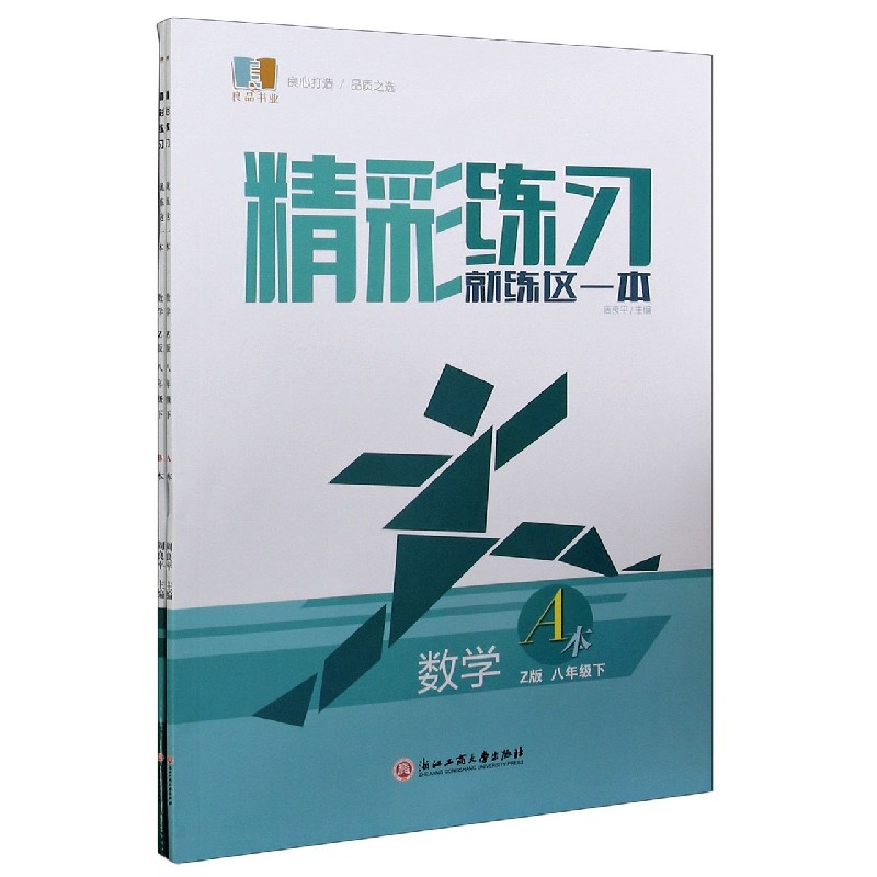 数学（8下Z版共2册）/精彩练习就练这一本