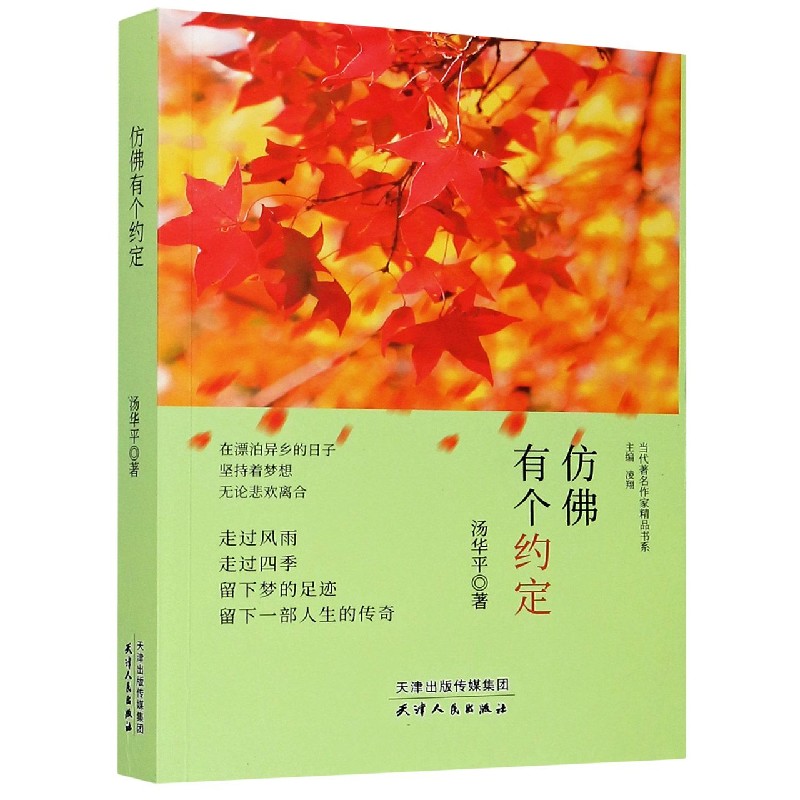 仿佛有个约定/当代著名作家精品书系
