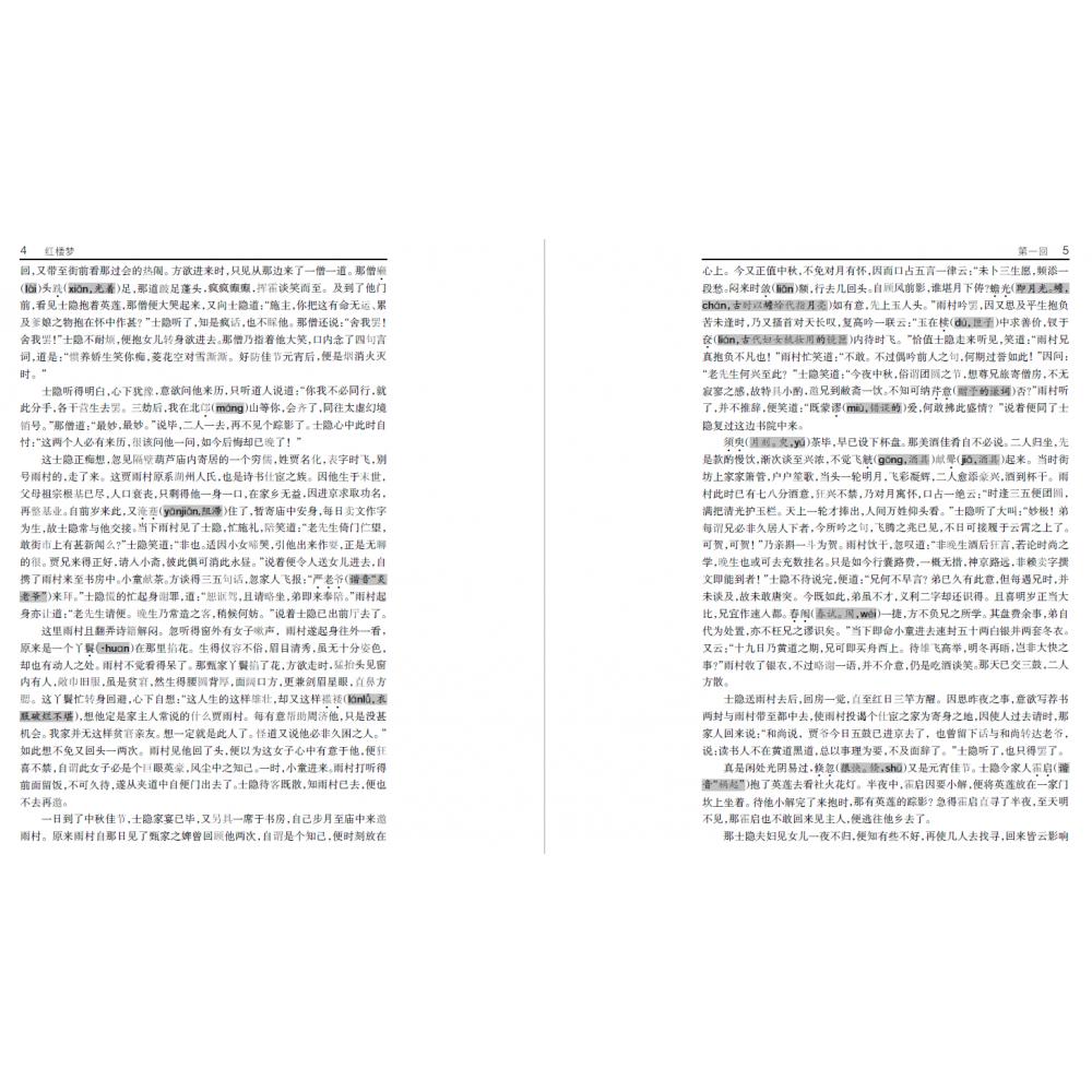 红楼梦（精）/四大名著