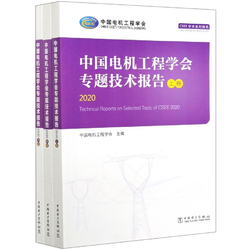 中国电机工程学会专题技术报告（2020上中下）