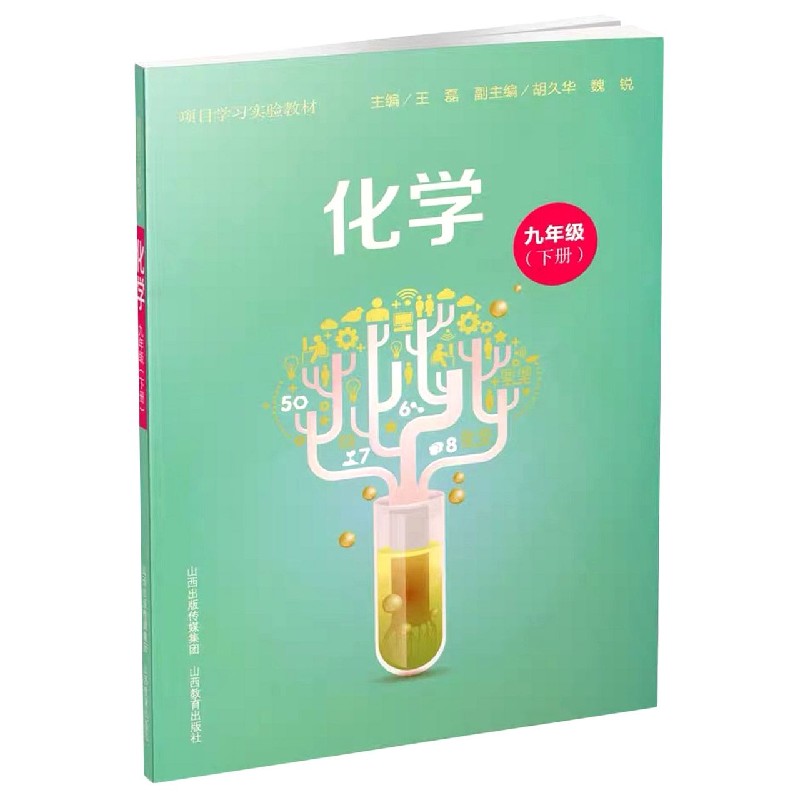 化学（9下项目学习实验教材）