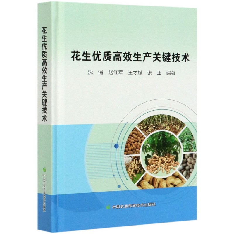 花生优质高效生产关键技术（精）
