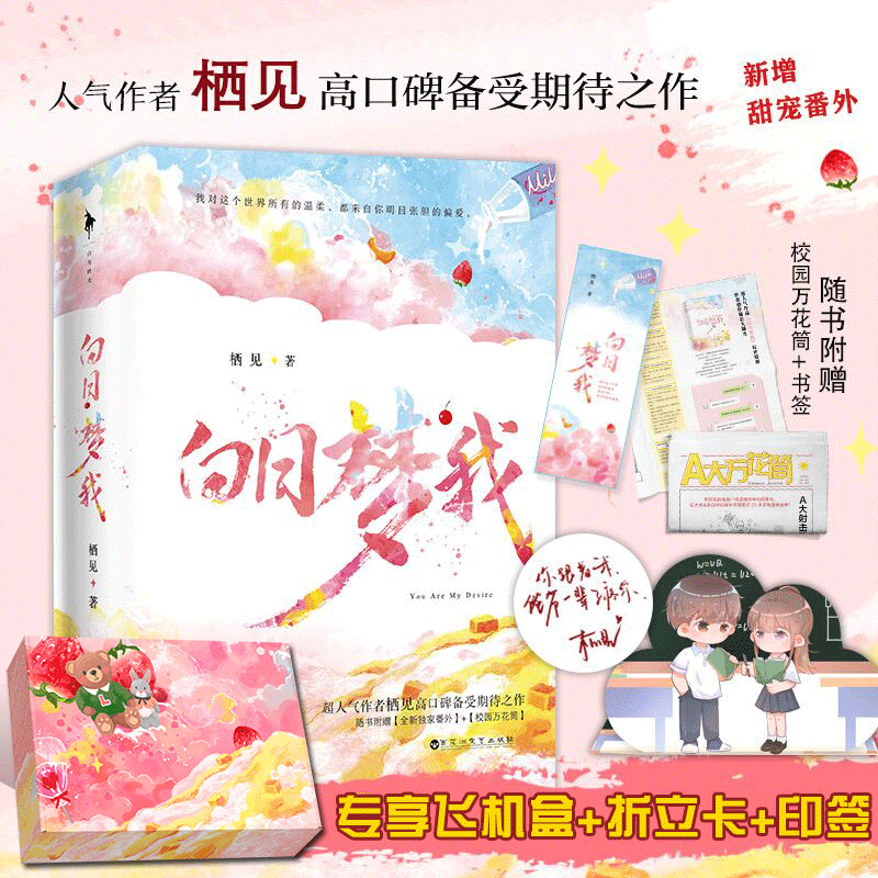 白日梦我 飞机盒版