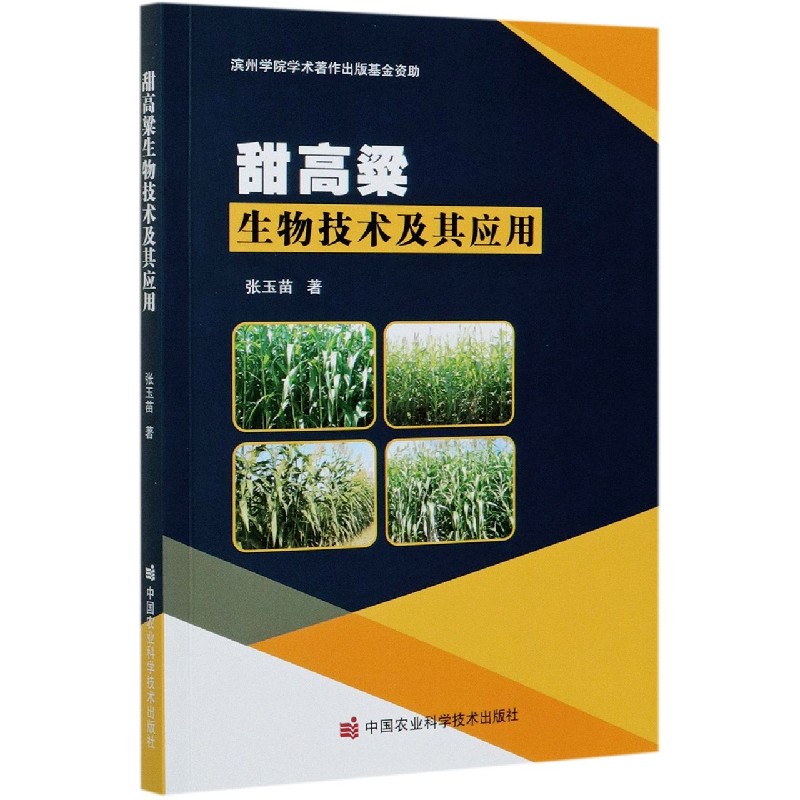 甜高粱生物技术及其应用