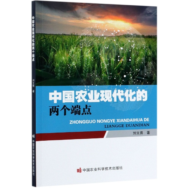 中国农业现代化的两个端点