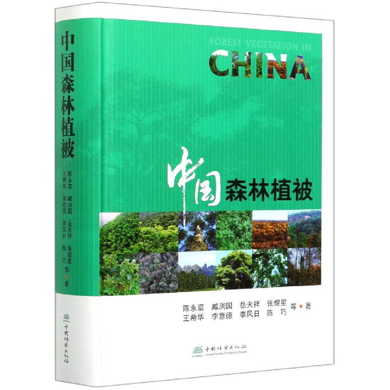 中国森林植被（精）