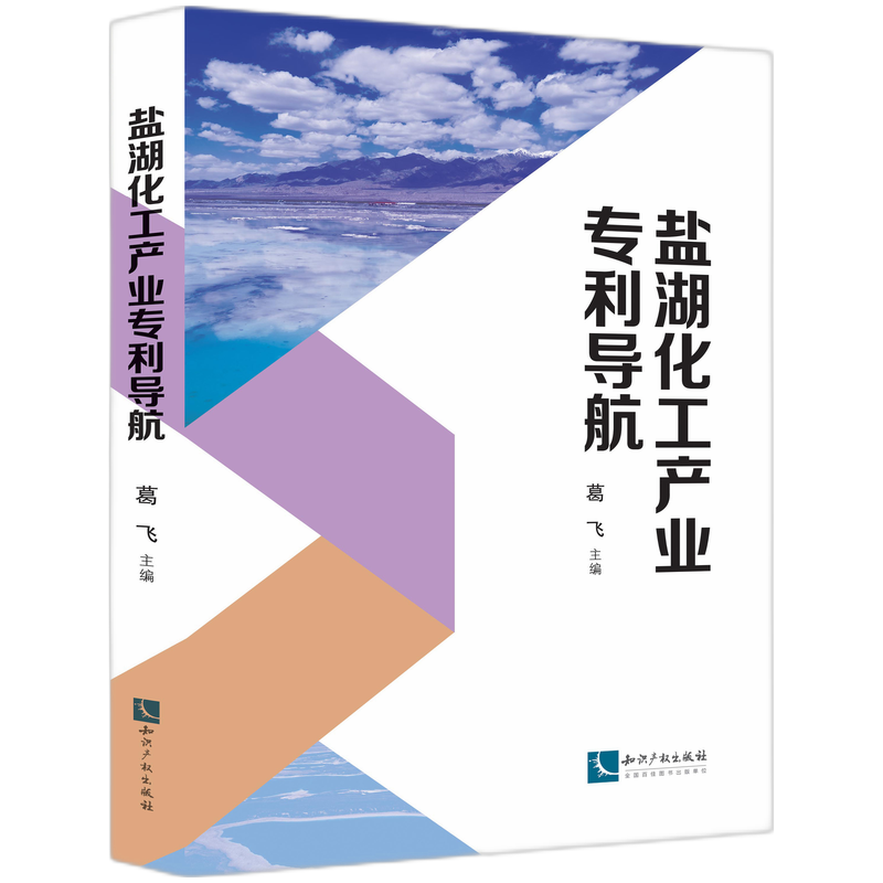 盐湖化工产业专利导航