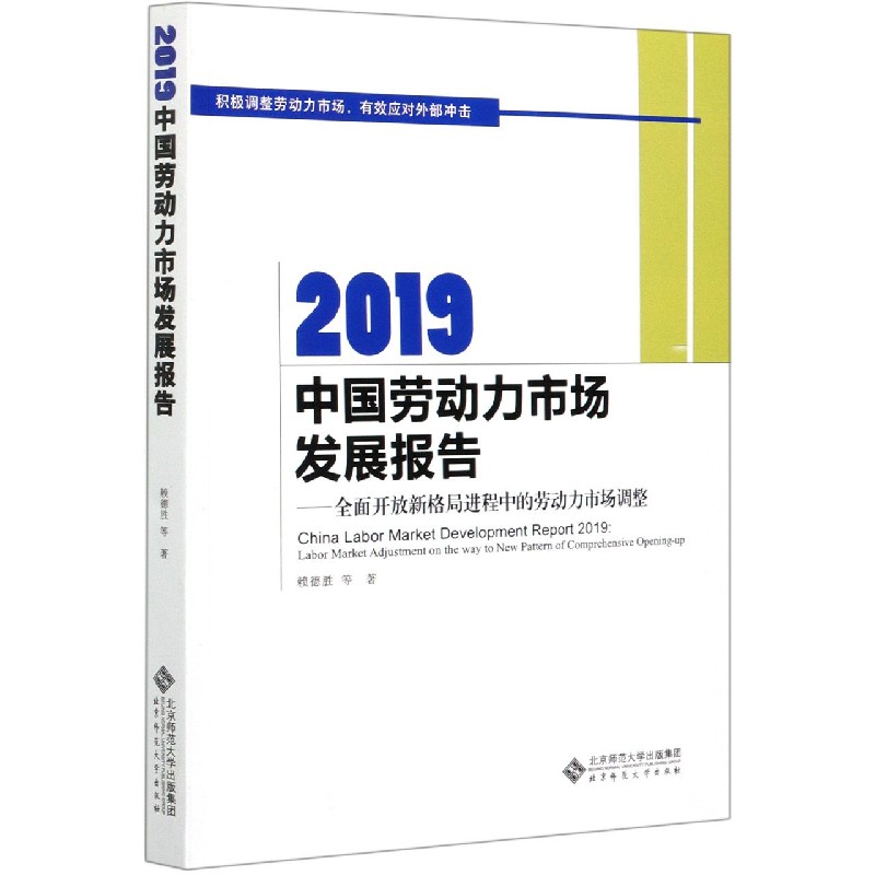 2019中国劳动力市场发展报告--全面开放新格局进程中的劳动力市场调整