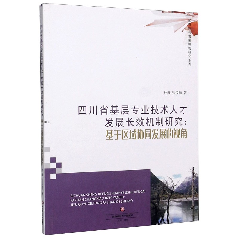 四川省基层专业技术人才发展长效机制研究--基于区域协同发展的视角/区域协调发展机制 