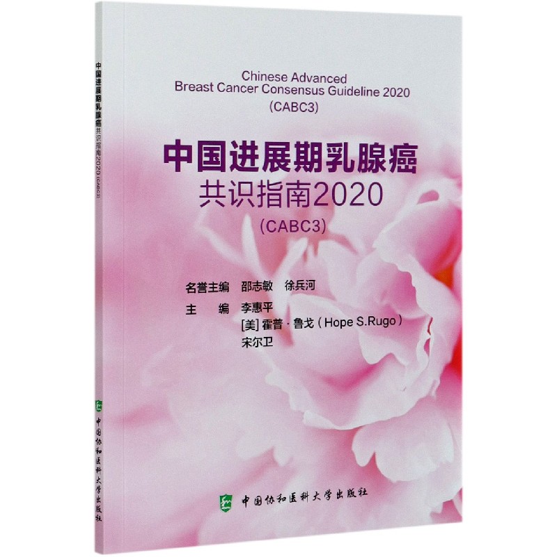 中国进展期乳腺癌共识指南（2020CABC3）