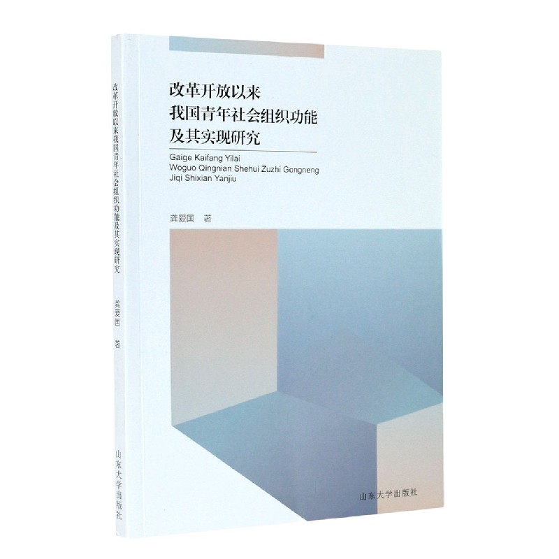 改革开放以来我国青年社会组织功能及其实现研究