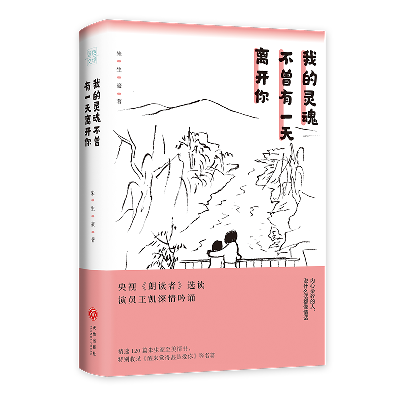 我的灵魂不曾有一天离开你/人间有情系列