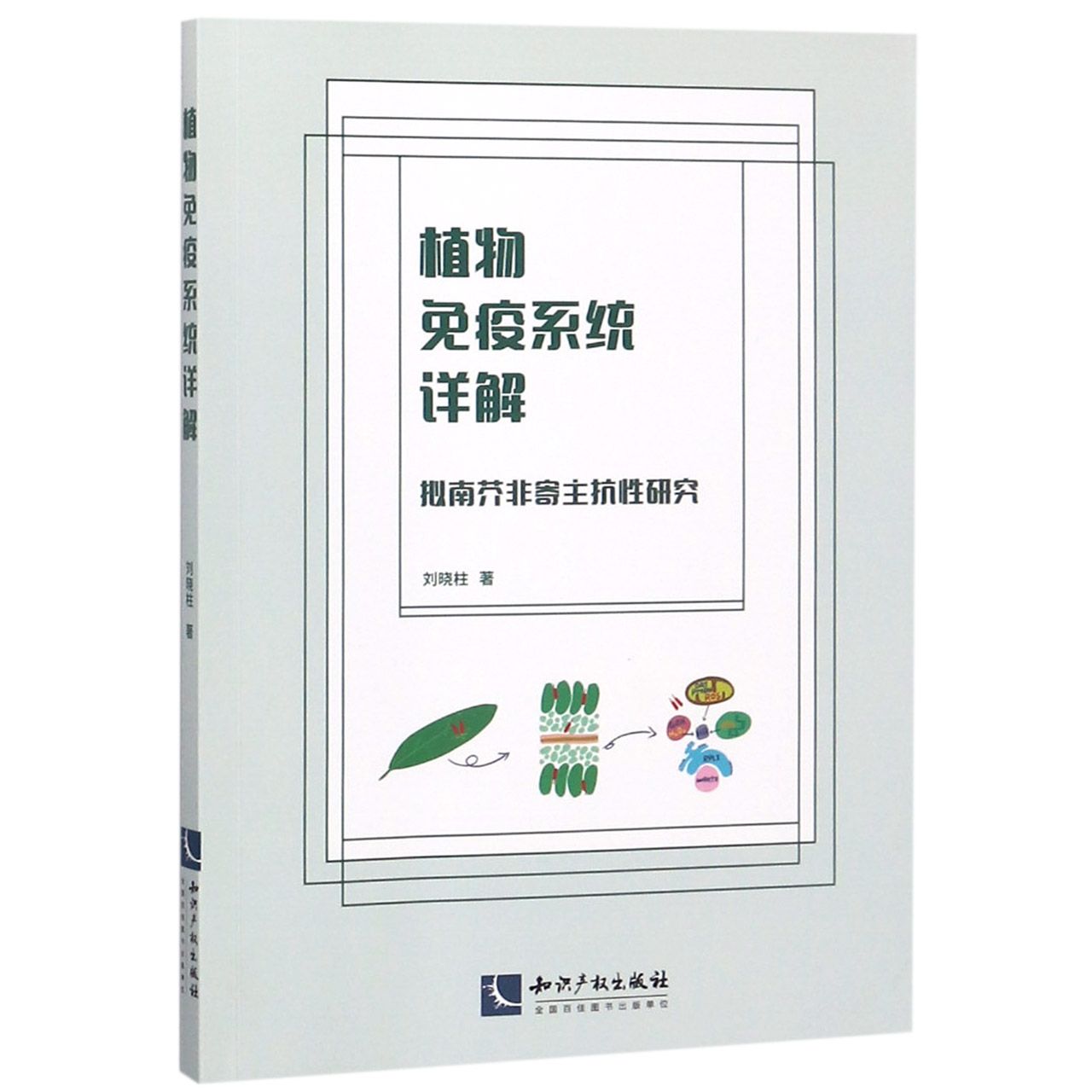 植物免疫系统详解（拟南芥非寄主抗性研究）