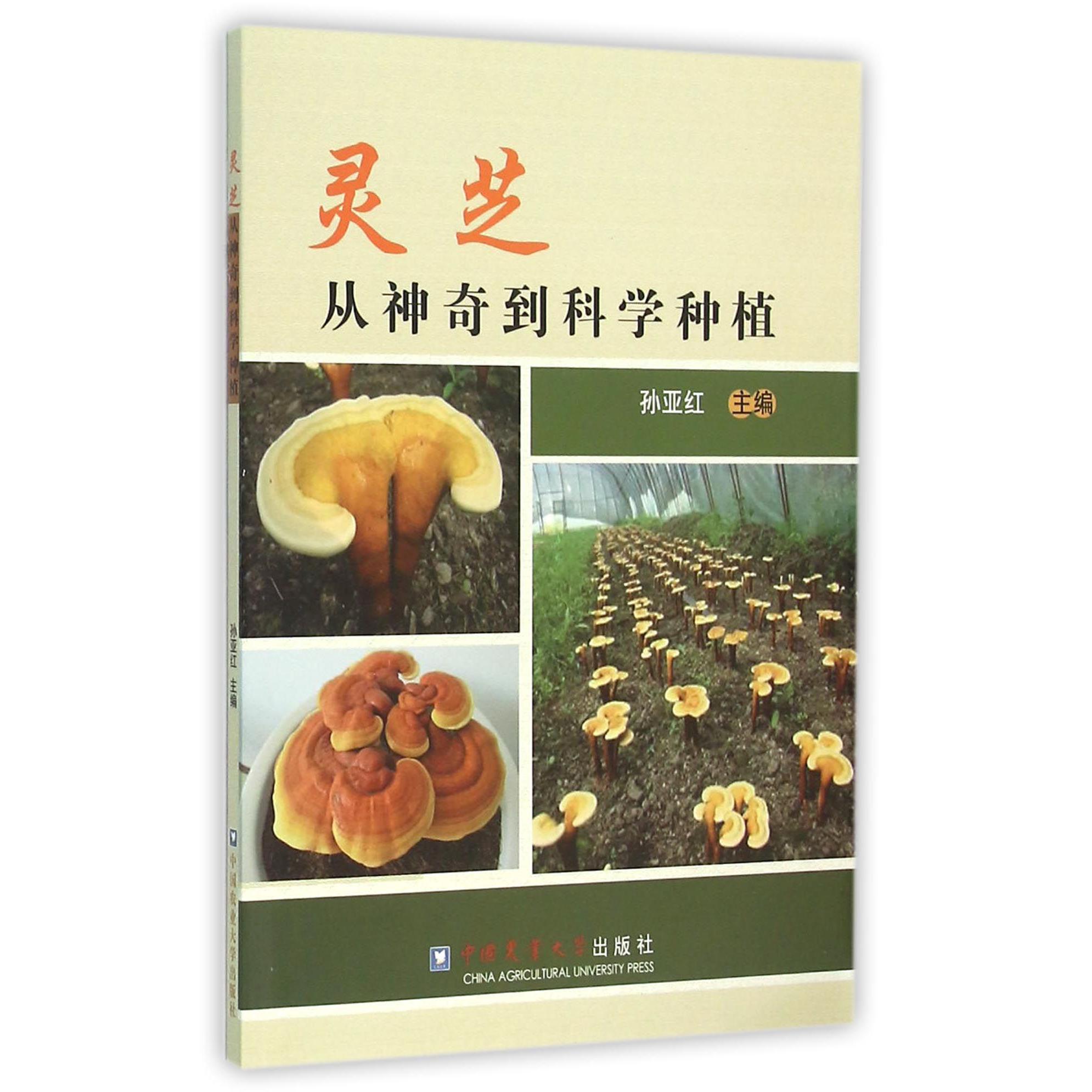 灵芝从神奇到科学种植
