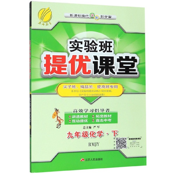 九年级化学(下RMJY新课标换代全彩新学案尖子班精品班提高班专用)/实验班提优课堂
