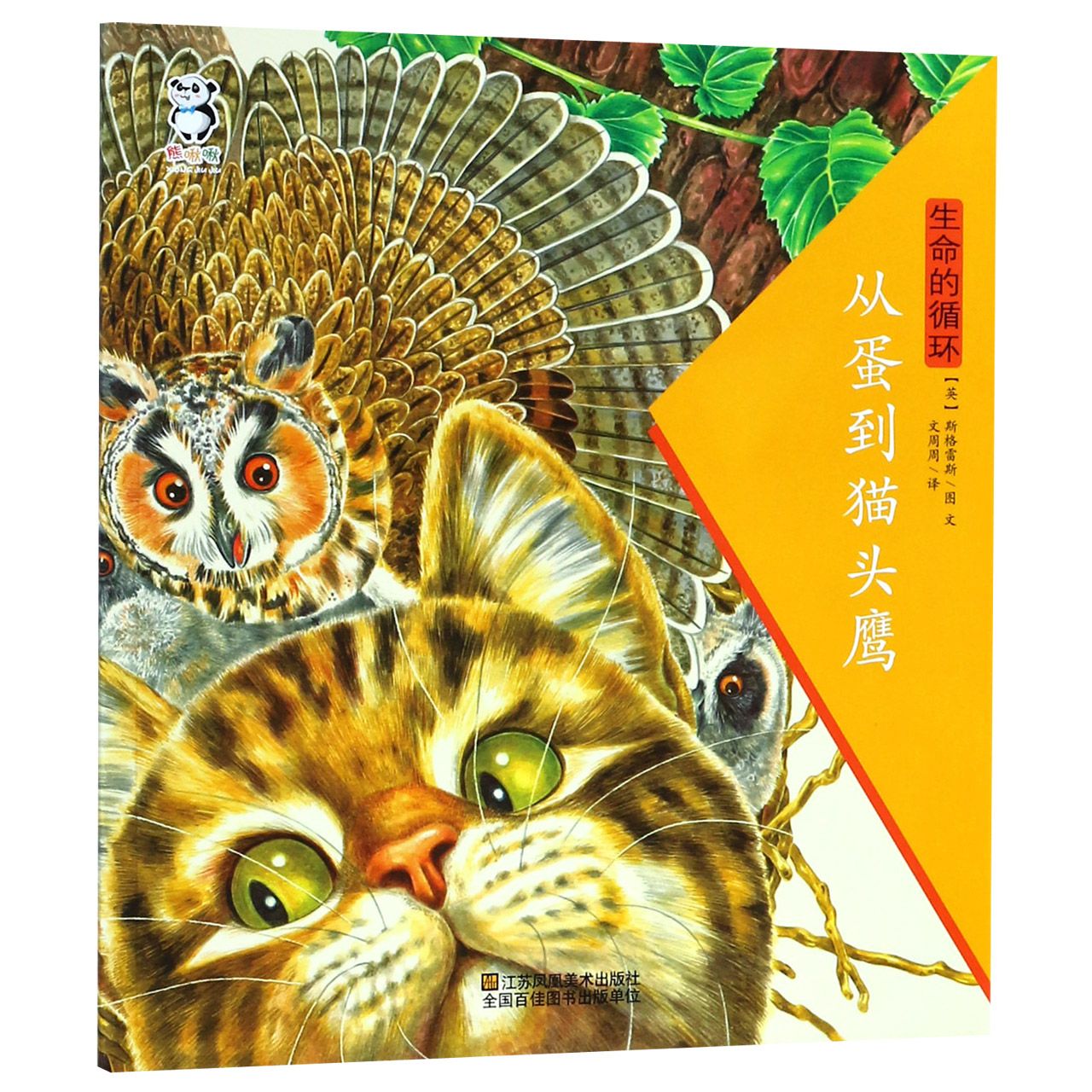 从蛋到猫头鹰/生命的循环