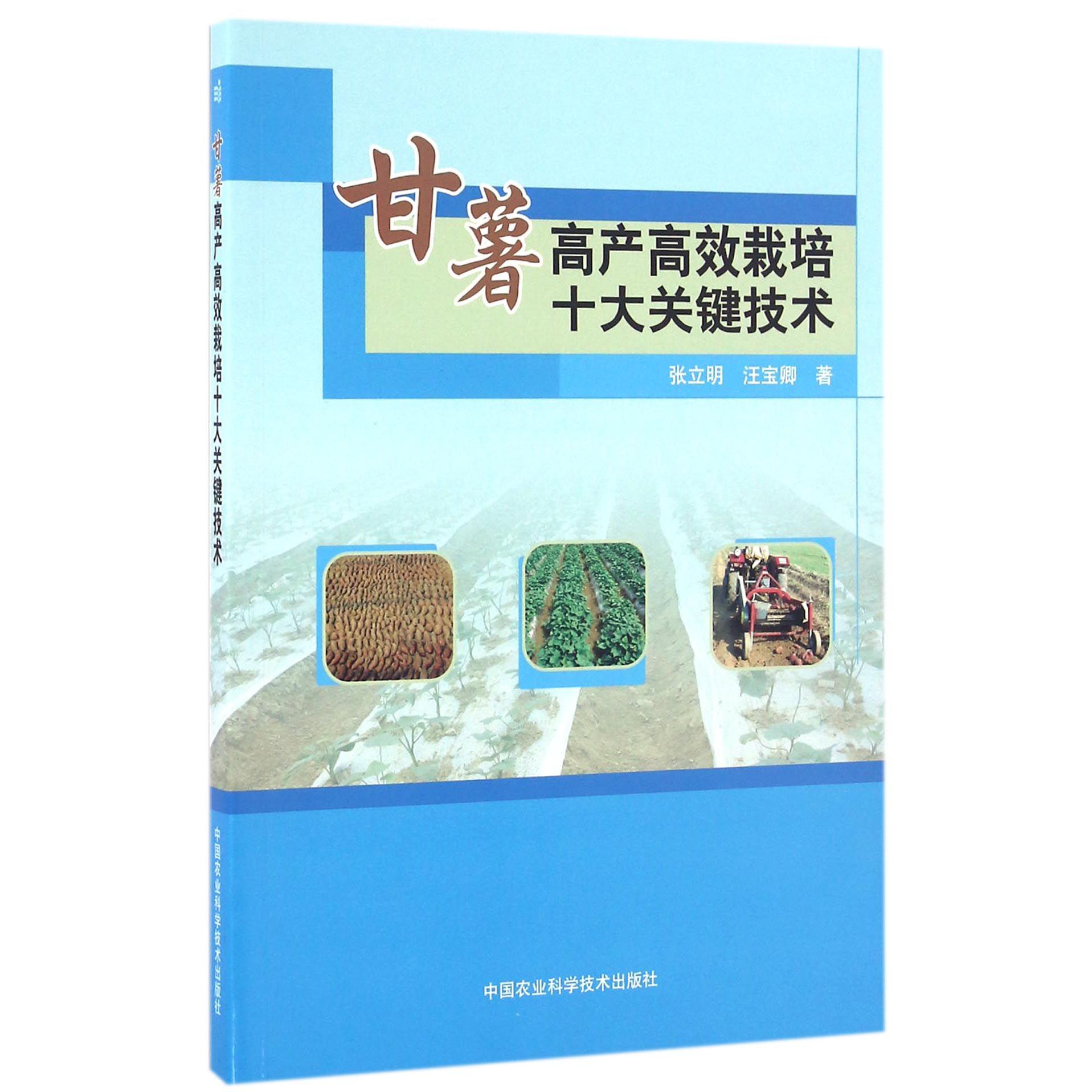 甘薯高产高效栽培十大关键技术