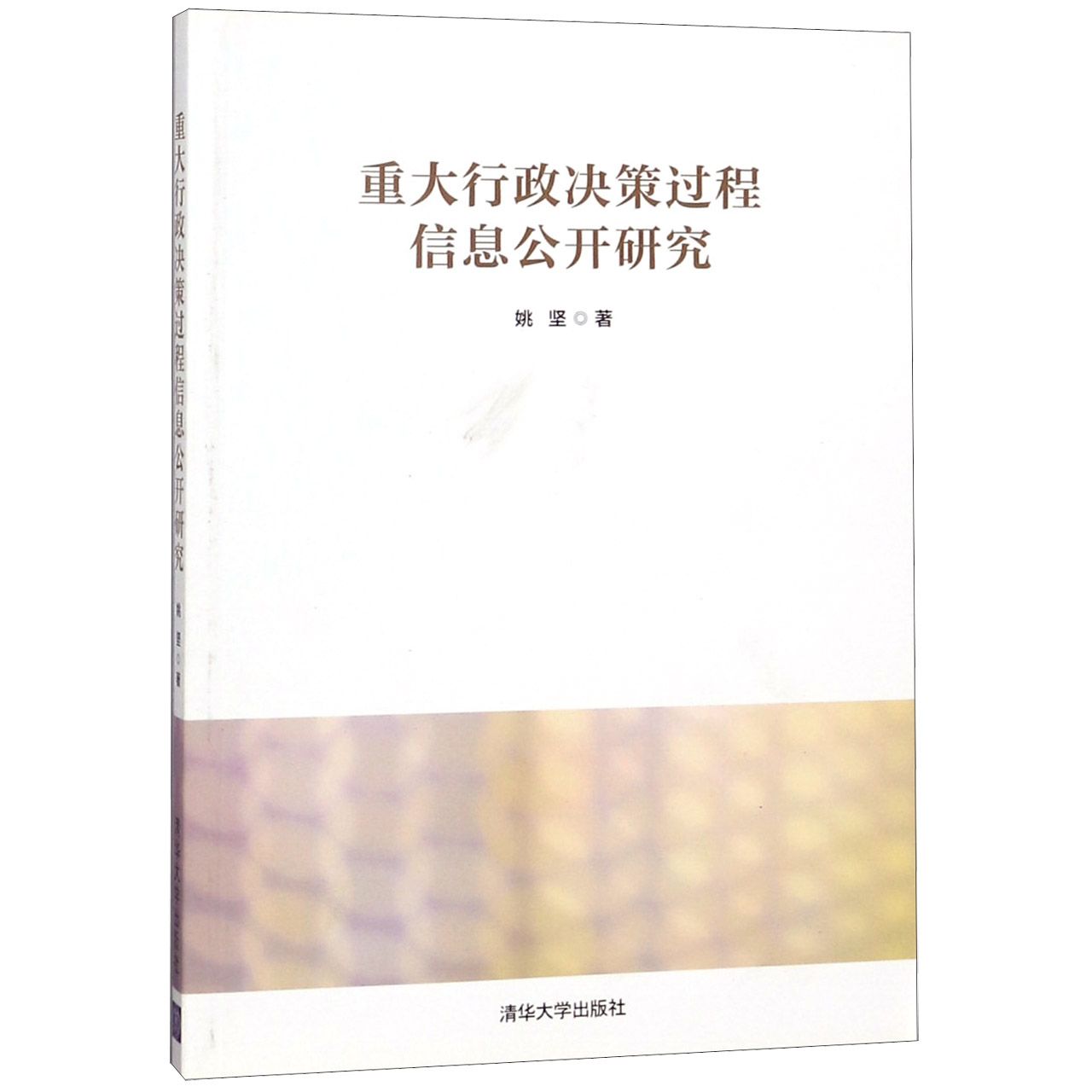 重大行政决策过程信息公开研究