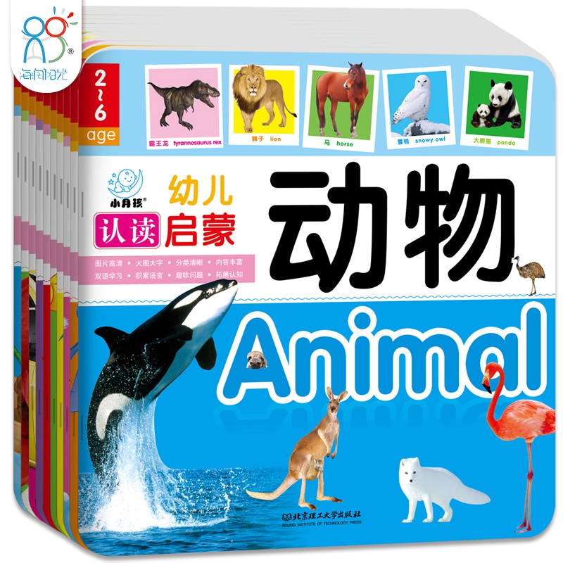 2-6岁幼儿认读启蒙（全10册）