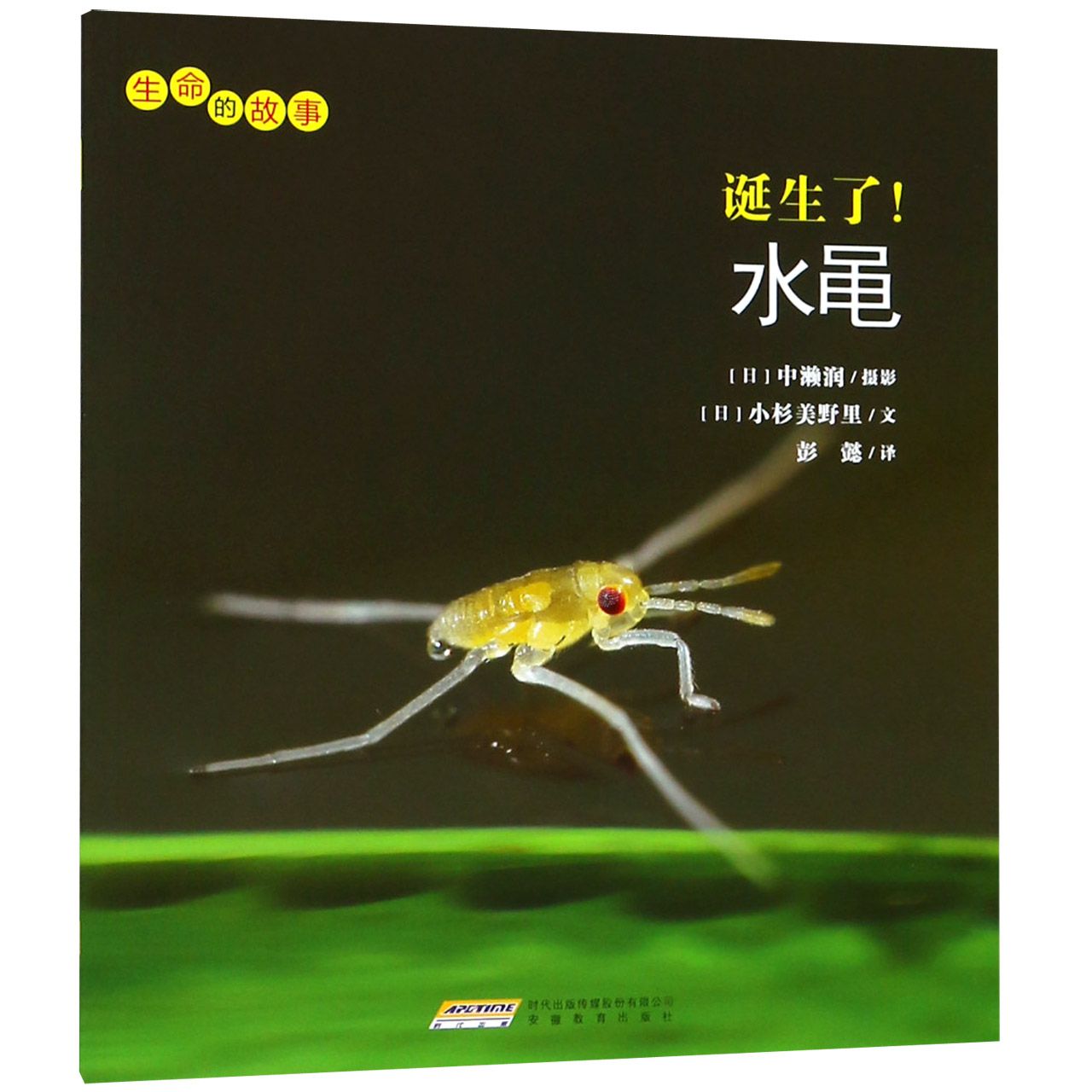 诞生了水黾/生命的故事