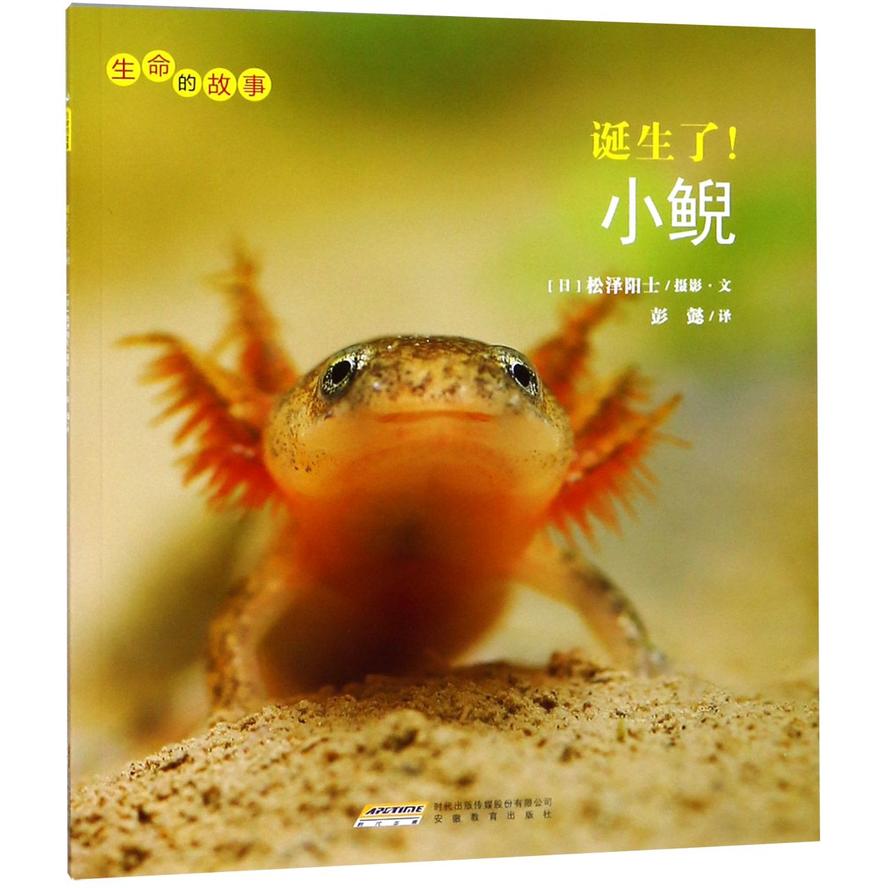 诞生了小鲵/生命的故事