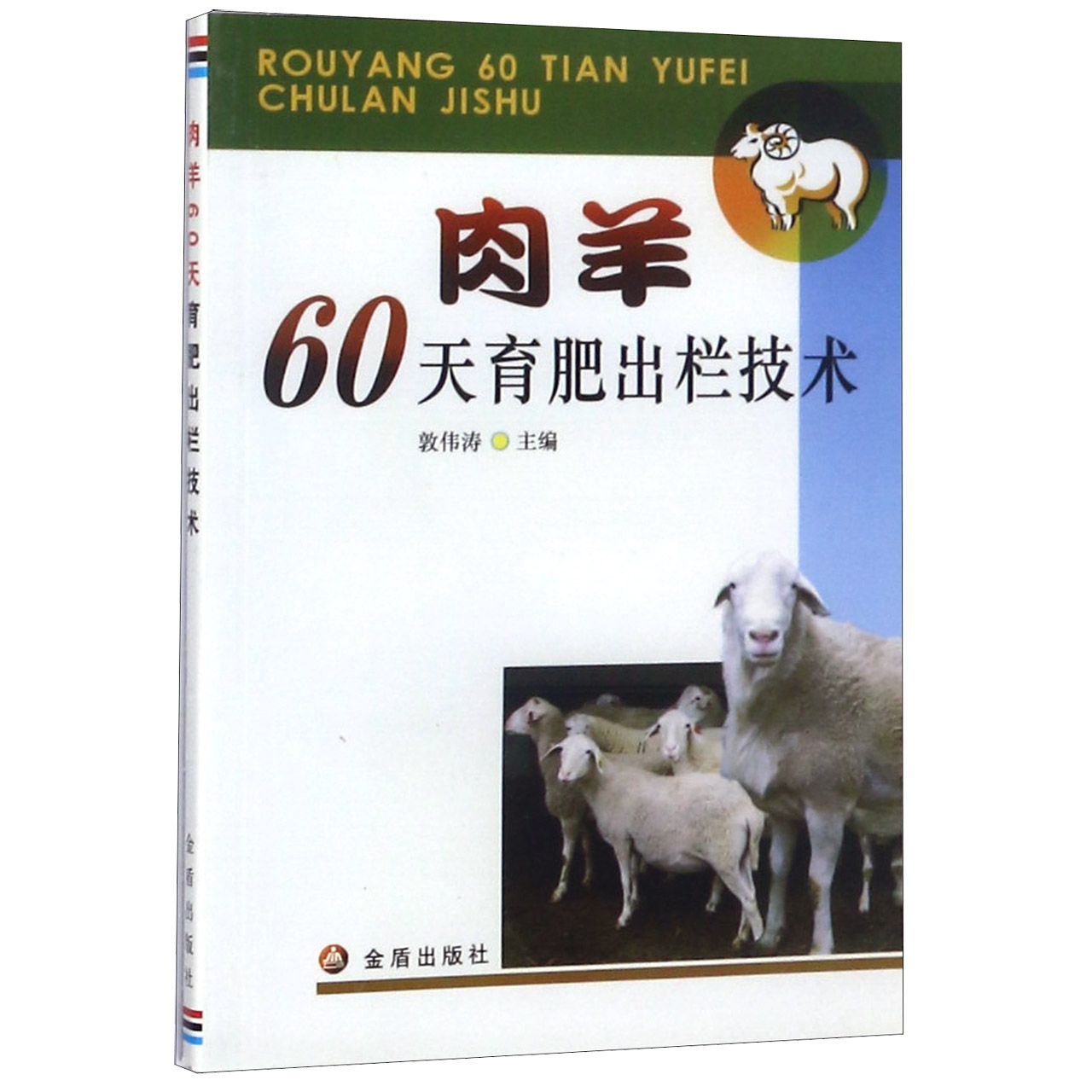 肉羊60天育肥出栏技术