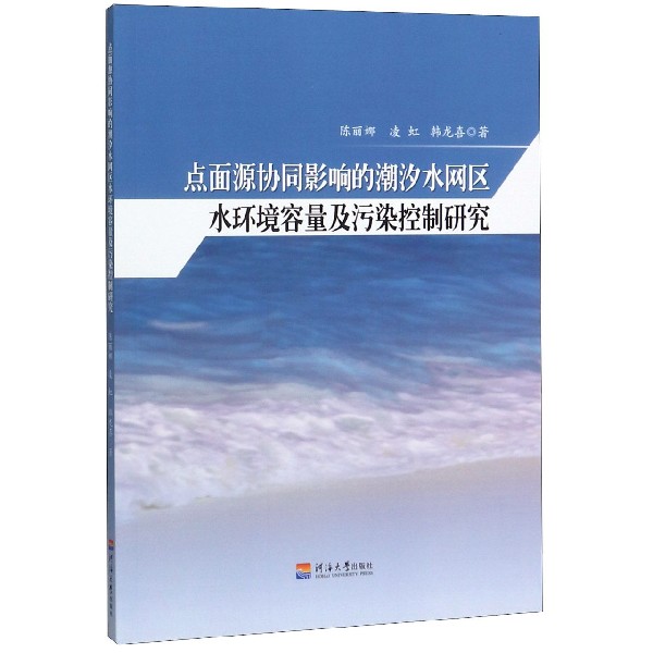 点面源协同影响的潮汐水网区水环境容量及污染控制研究