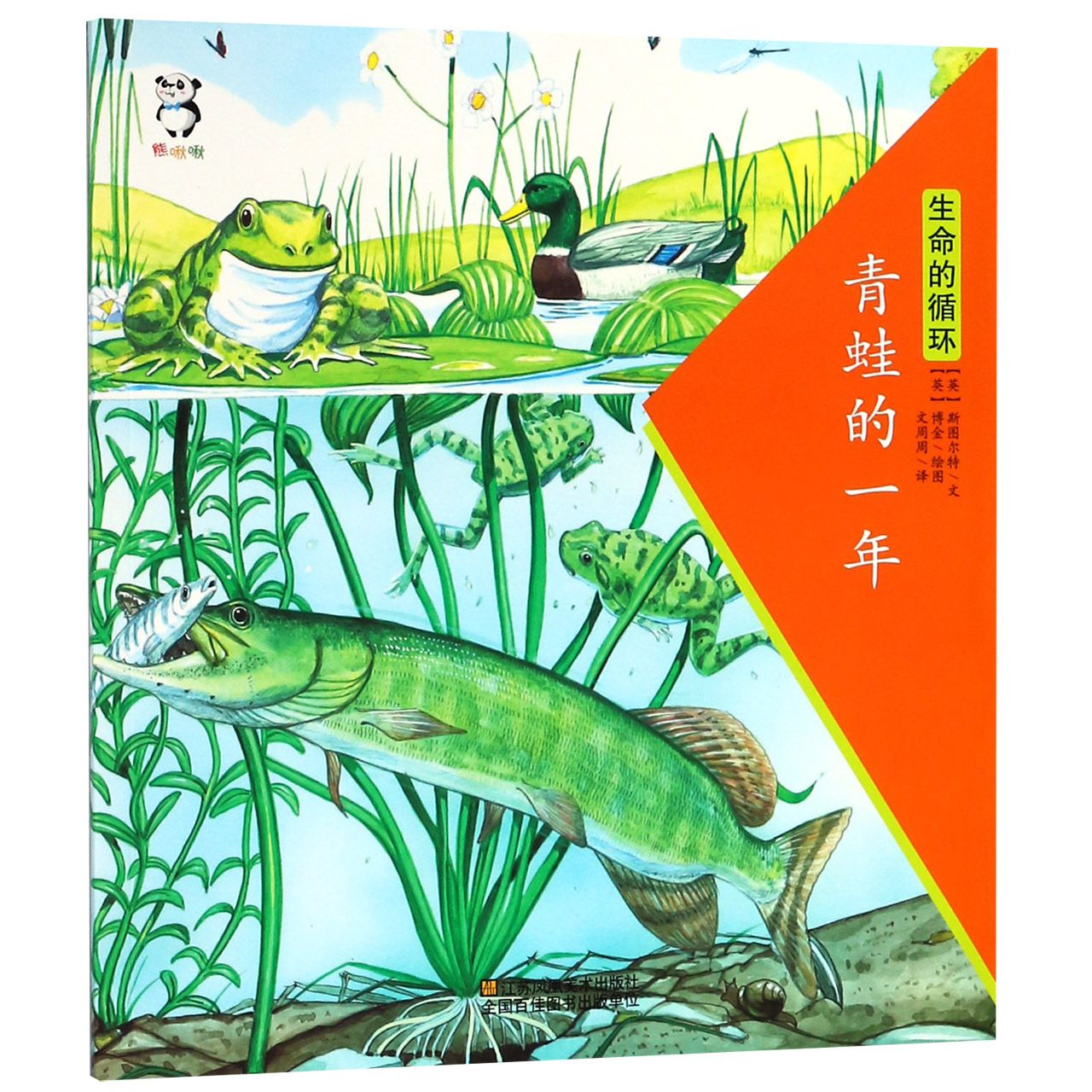 青蛙的一年/生命的循环