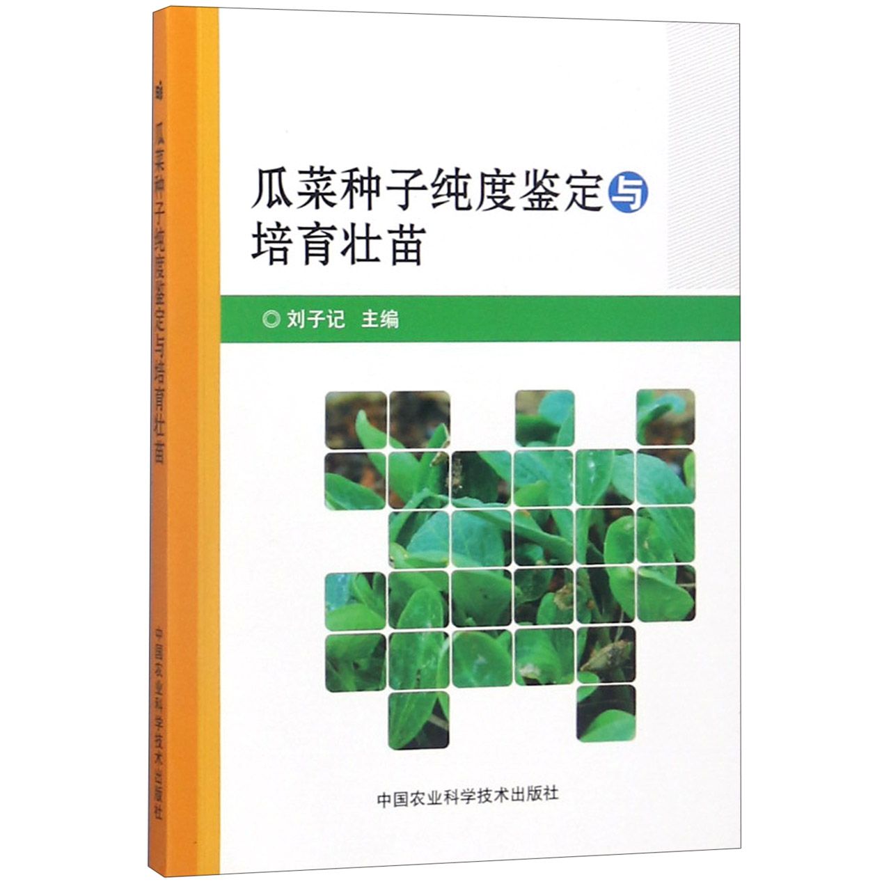 瓜菜种子纯度鉴定与培育壮苗