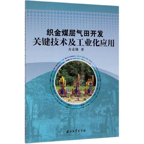 织金煤层气田开发关键技术及工业化应用