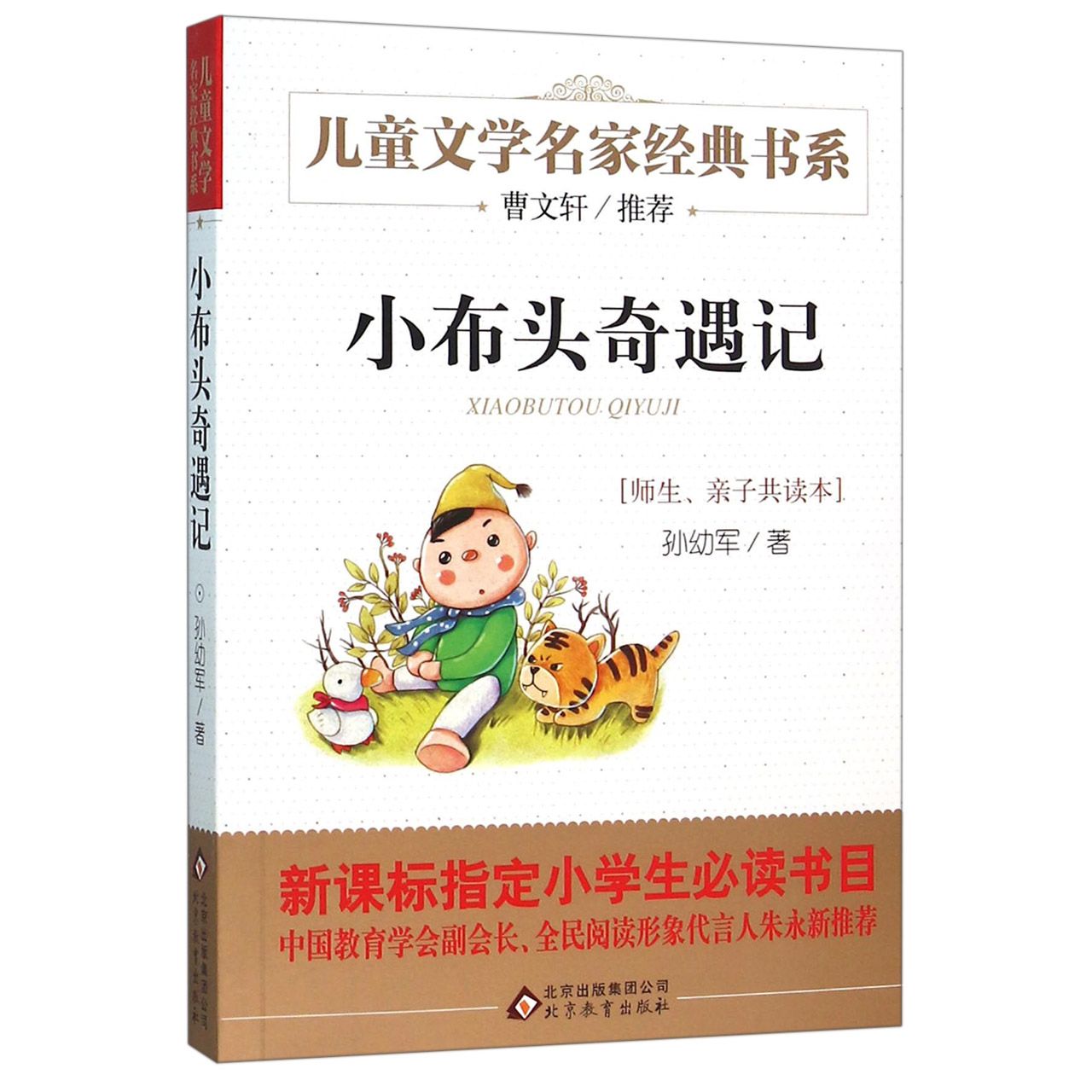 小布头奇遇记/儿童文学名家经典书系