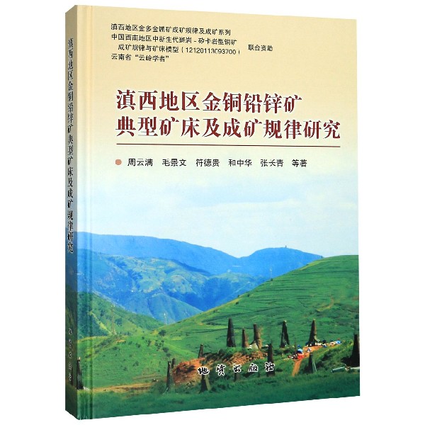 滇西地区金铜铅锌矿典型矿床及成矿规律研究(精)