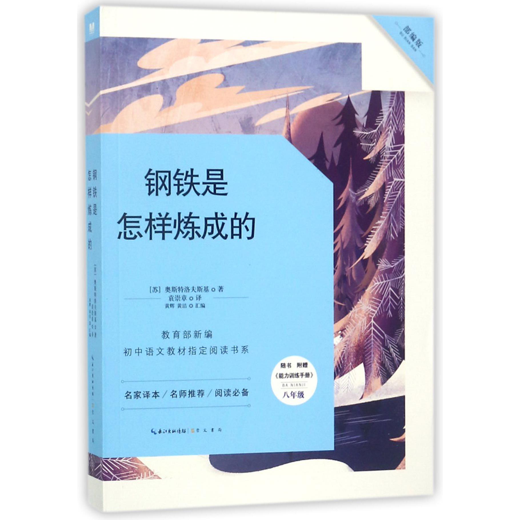 钢铁是怎样炼成的(附能力训练手册8年级部编版)