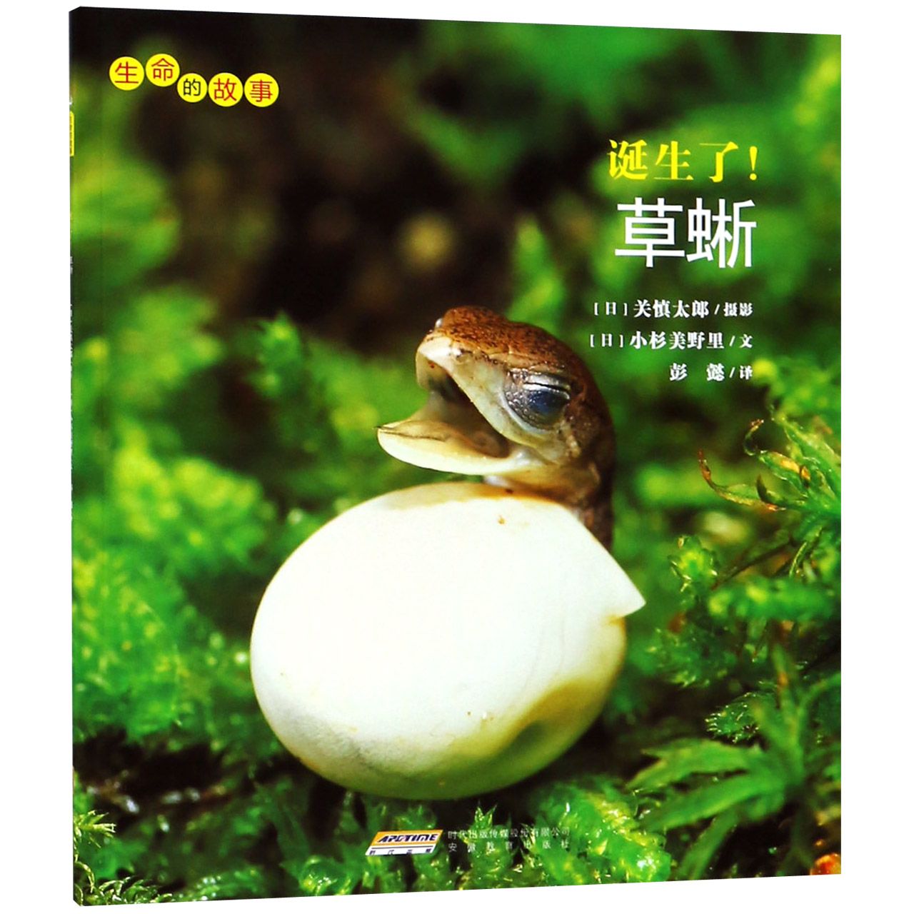 诞生了草蜥/生命的故事
