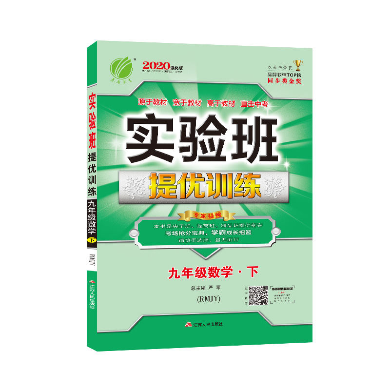 实验班提优训练 初中 数学 九年级 (下) 人教版