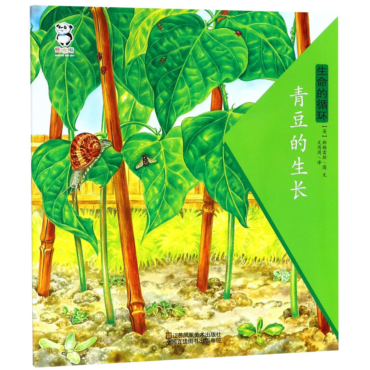 青豆的生长/生命的循环