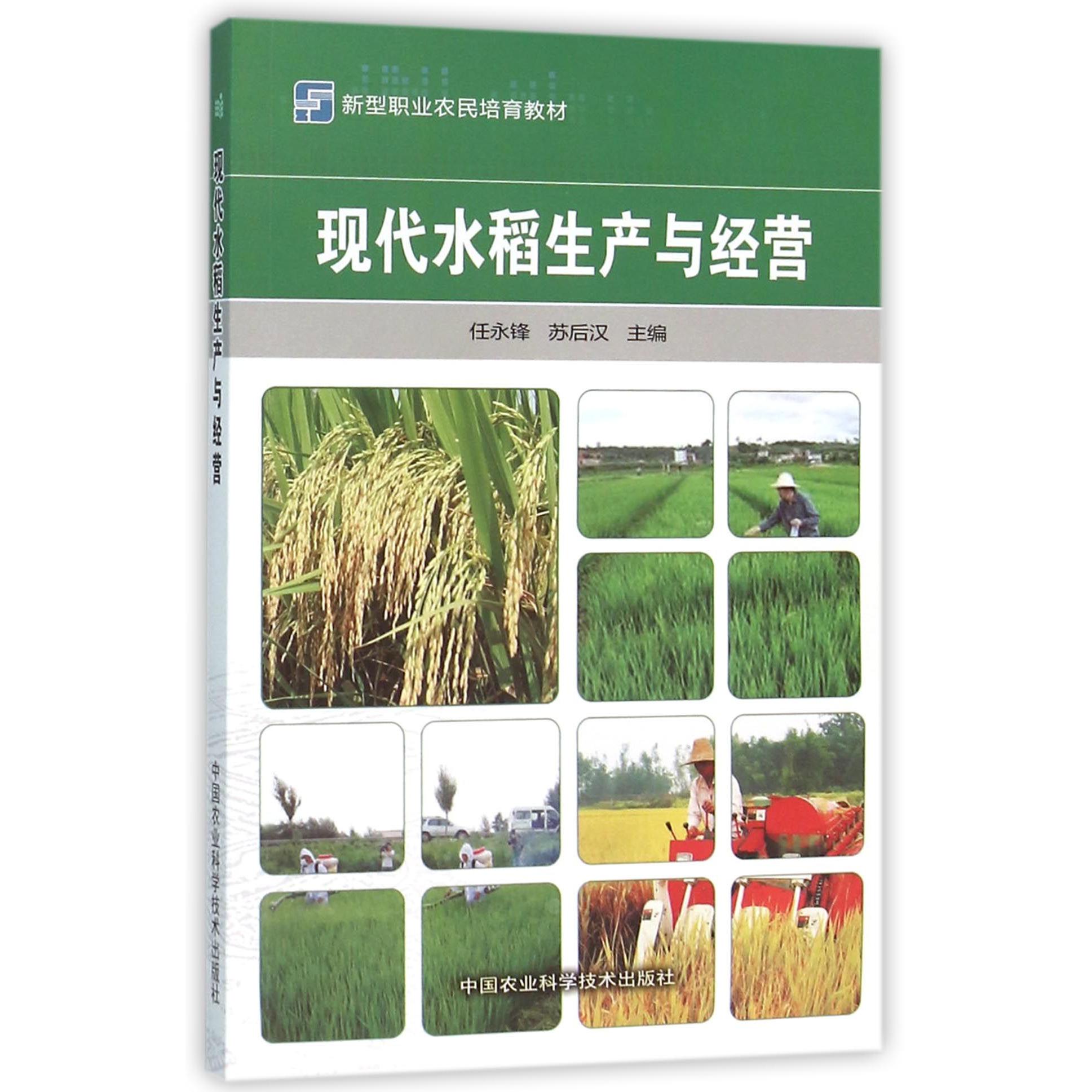 现代水稻生产与经营（新型职业农民培育教材）