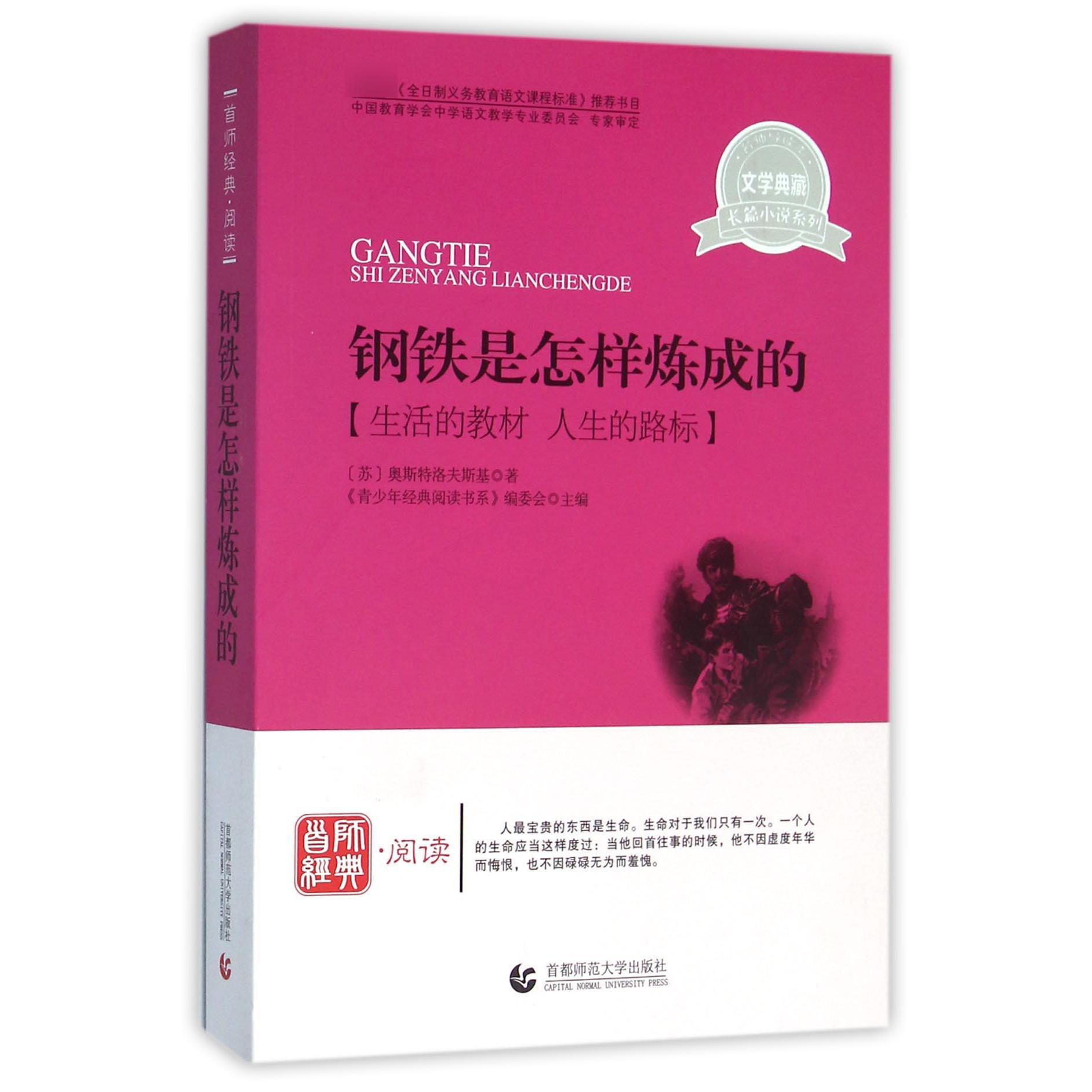 钢铁是怎样炼成的/文学典藏长篇小说系列
