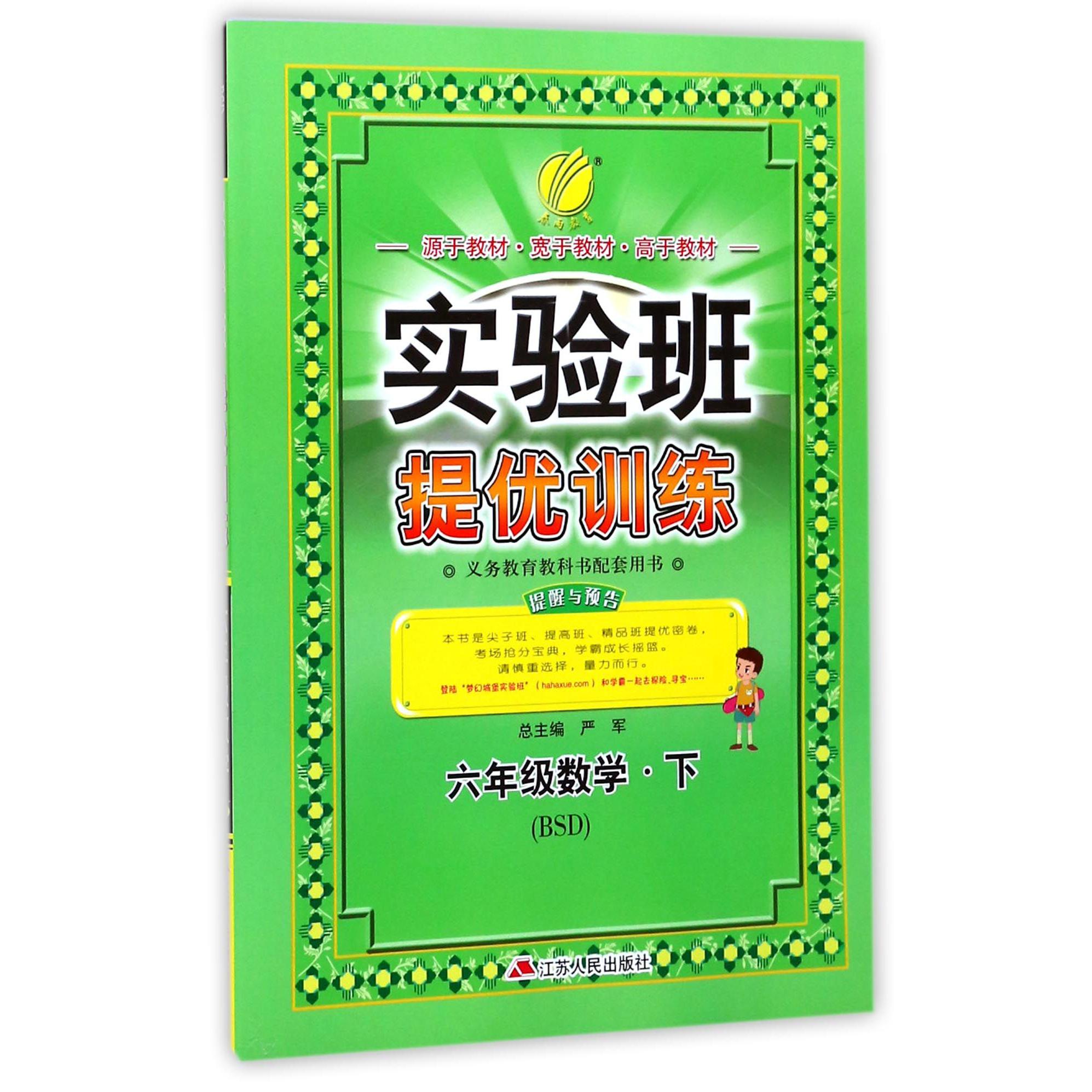 六年级数学（下BSD）/实验班提优训练