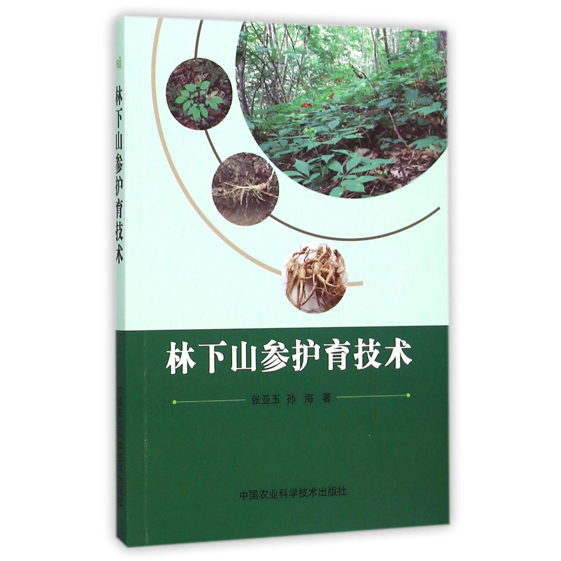 林下山参护育技术