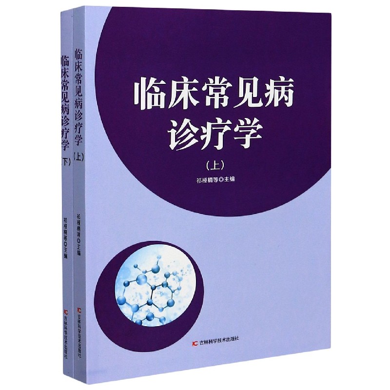 临床常见病诊疗学（上下）
