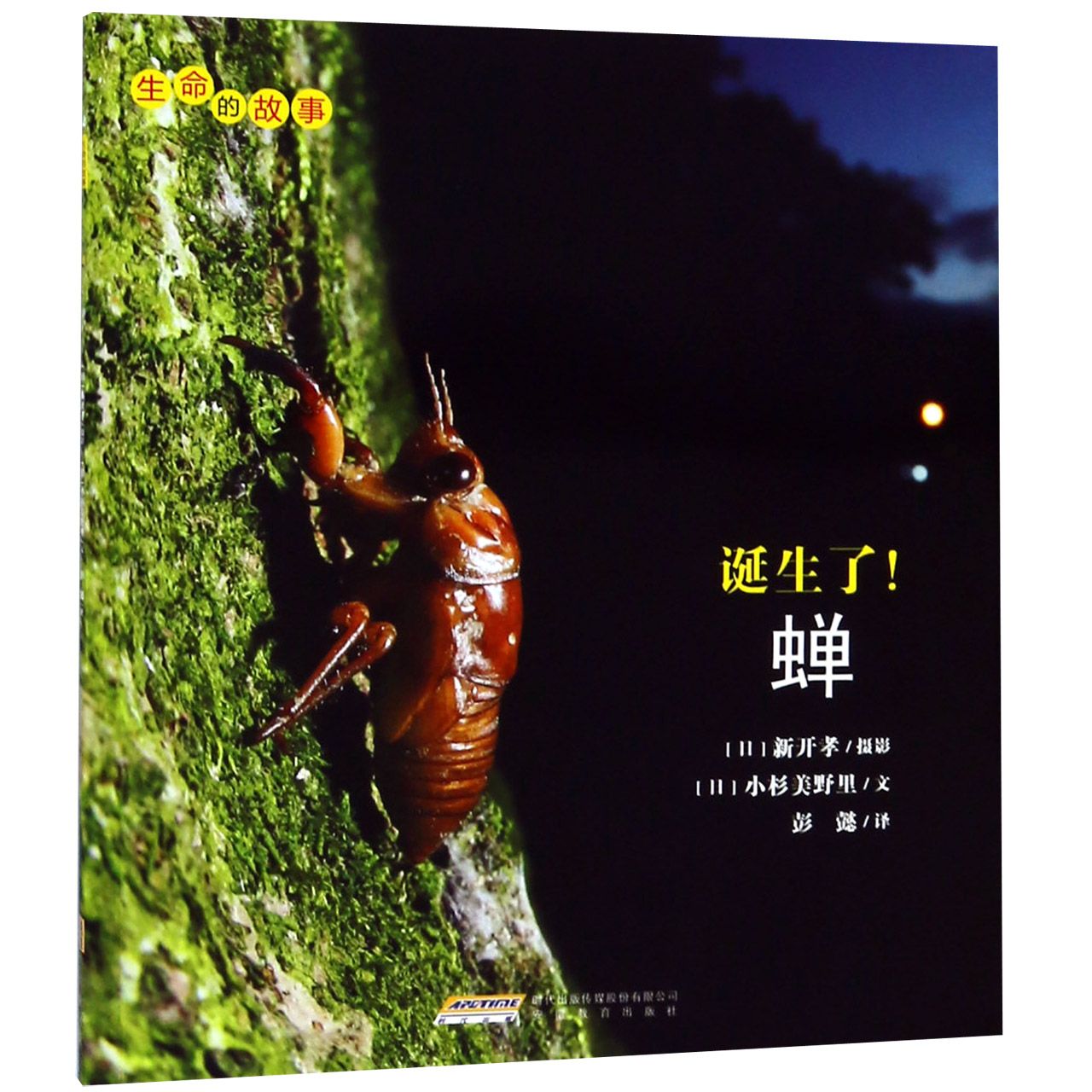 诞生了蝉/生命的故事