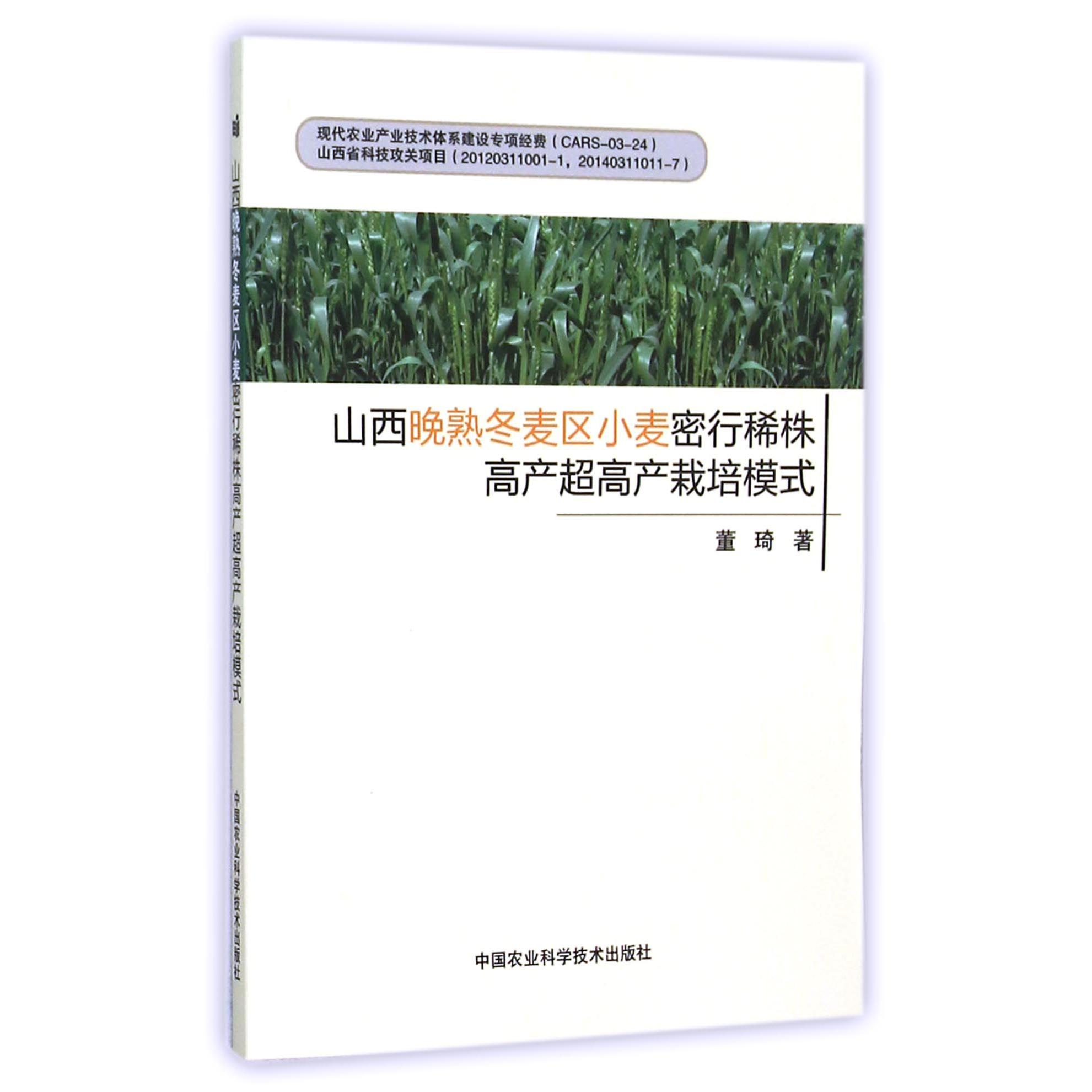 山西晚熟冬麦区小麦密行稀株高产超高产栽培模式