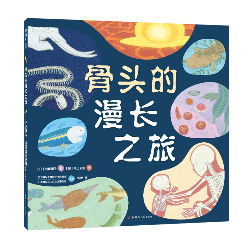 骨头的漫长之旅(精)