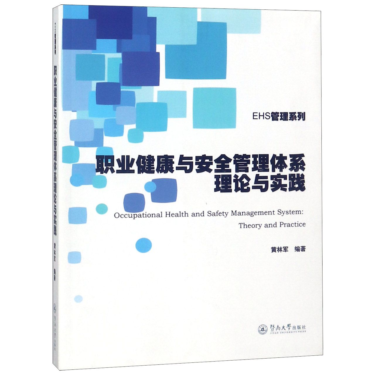 职业健康与安全管理体系理论与实践/EHS管理系列