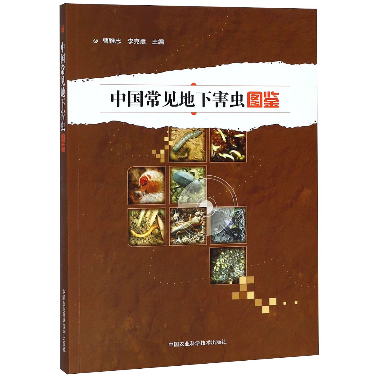 中国常见地下害虫图鉴