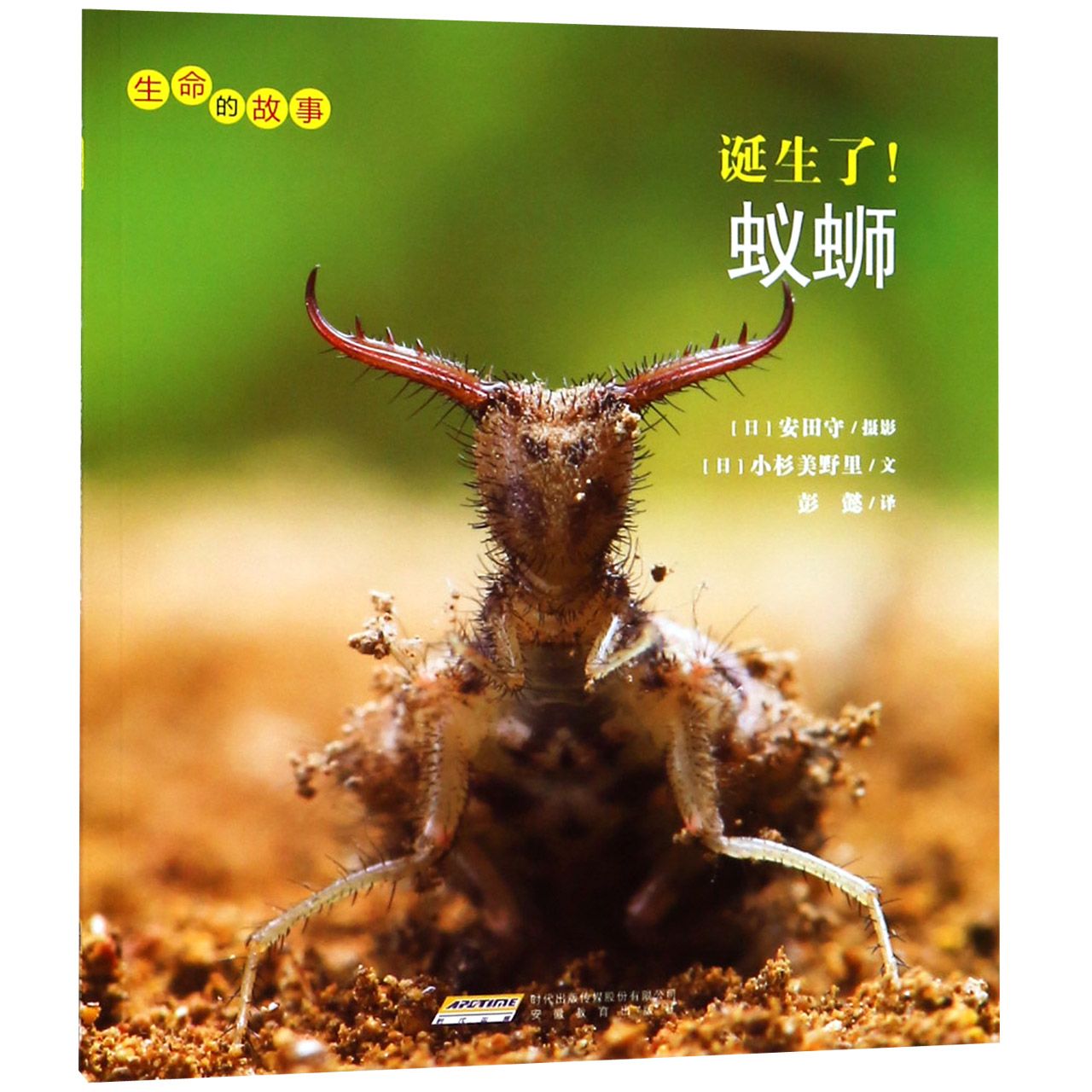 诞生了蚁蛳/生命的故事